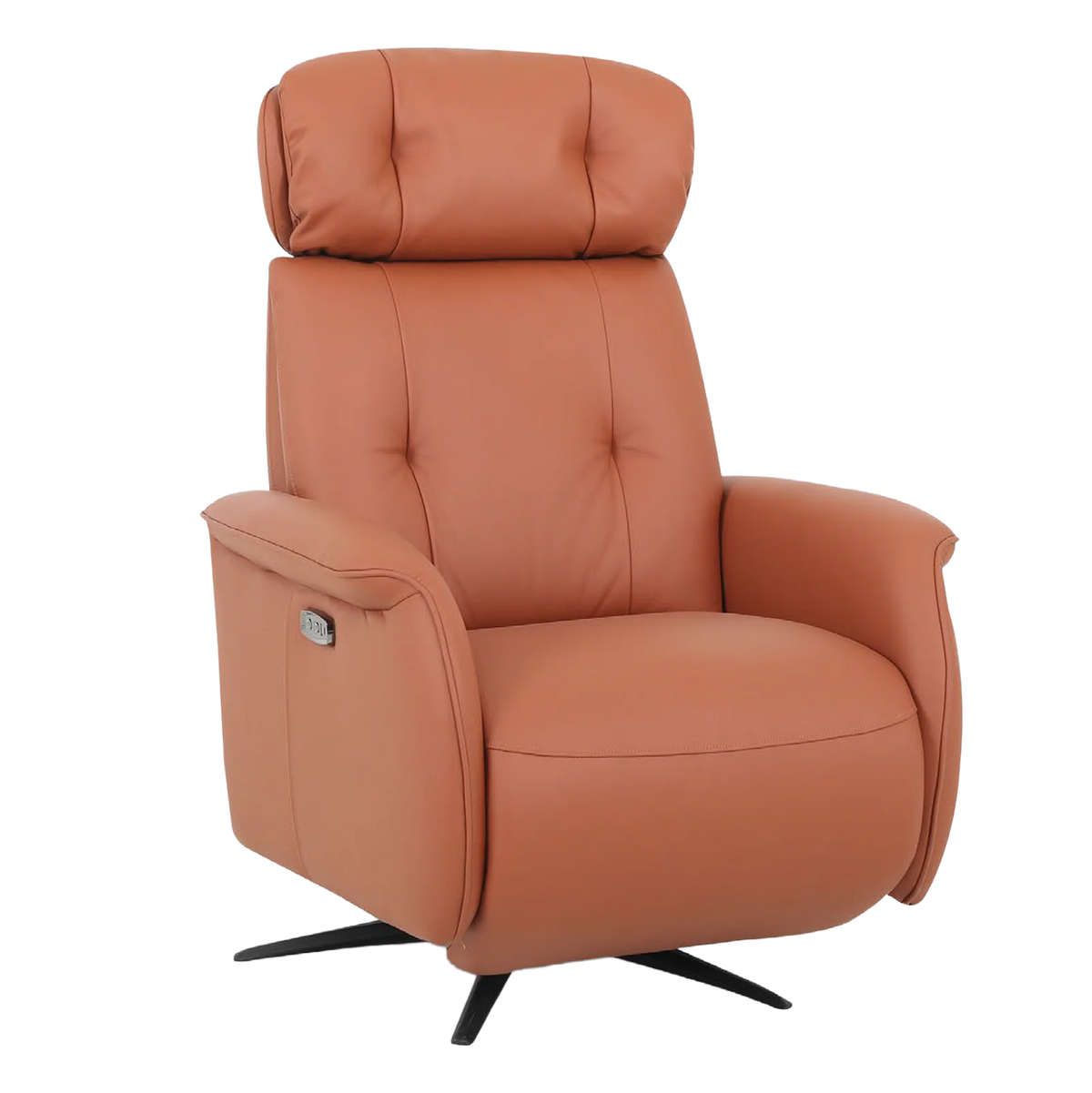 Sanctuary Swivel Electric Recliner
