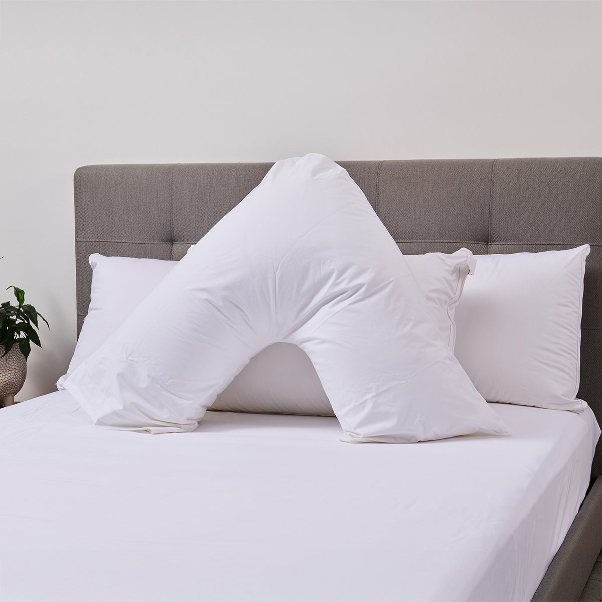 Boomerang Pillow