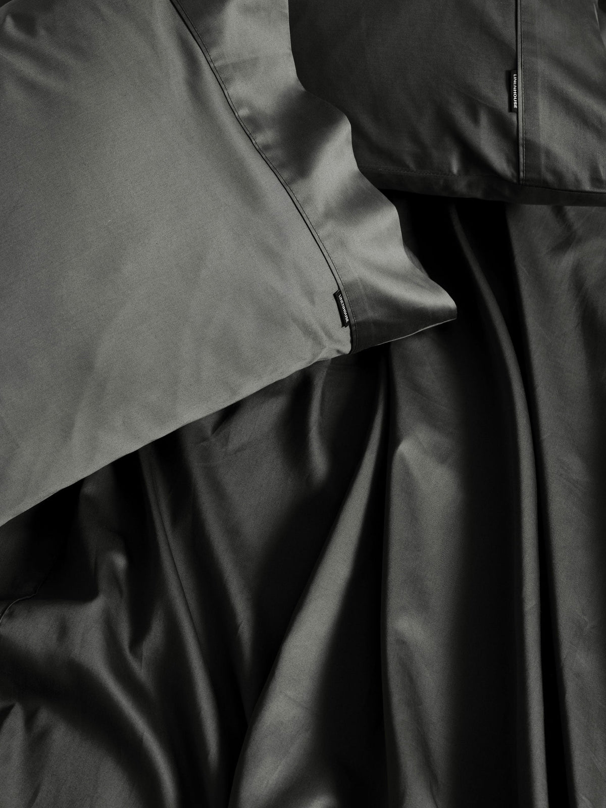 500TC Cotton Sateen Augusta Magnet Standard Pillowcase