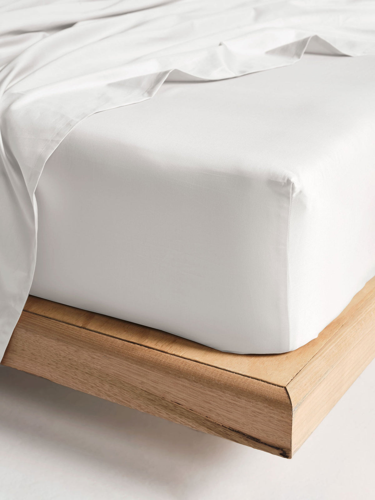 500TC Cotton Sateen Augusta White Fitted Sheet 50cm