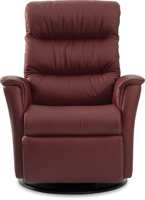 IMG Liberty Fabric Recliner Lift Chair