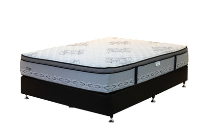 Cocoon Monarch Firm