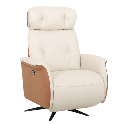 Sanctuary Swivel Electric Recliner