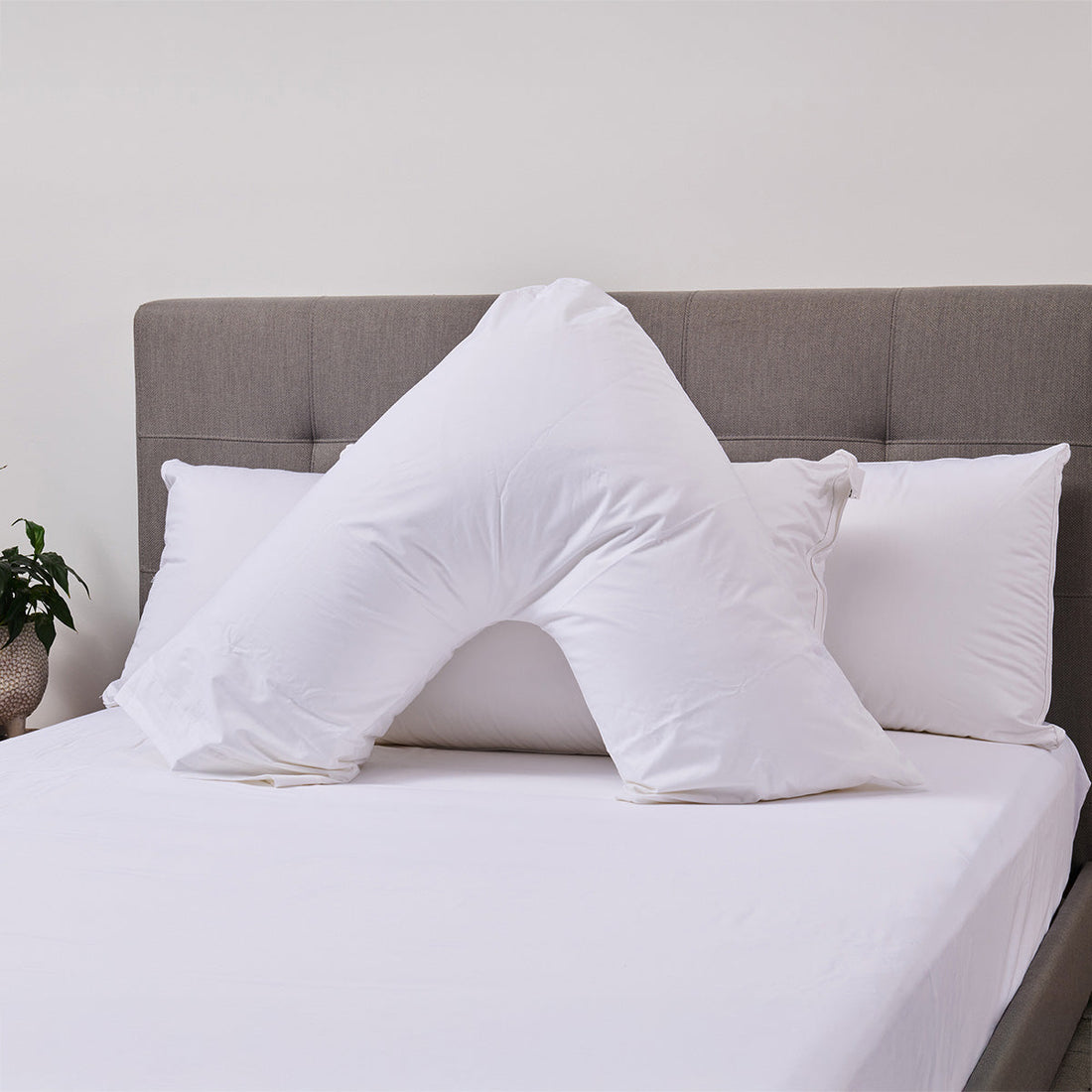 Boomerang Pillow