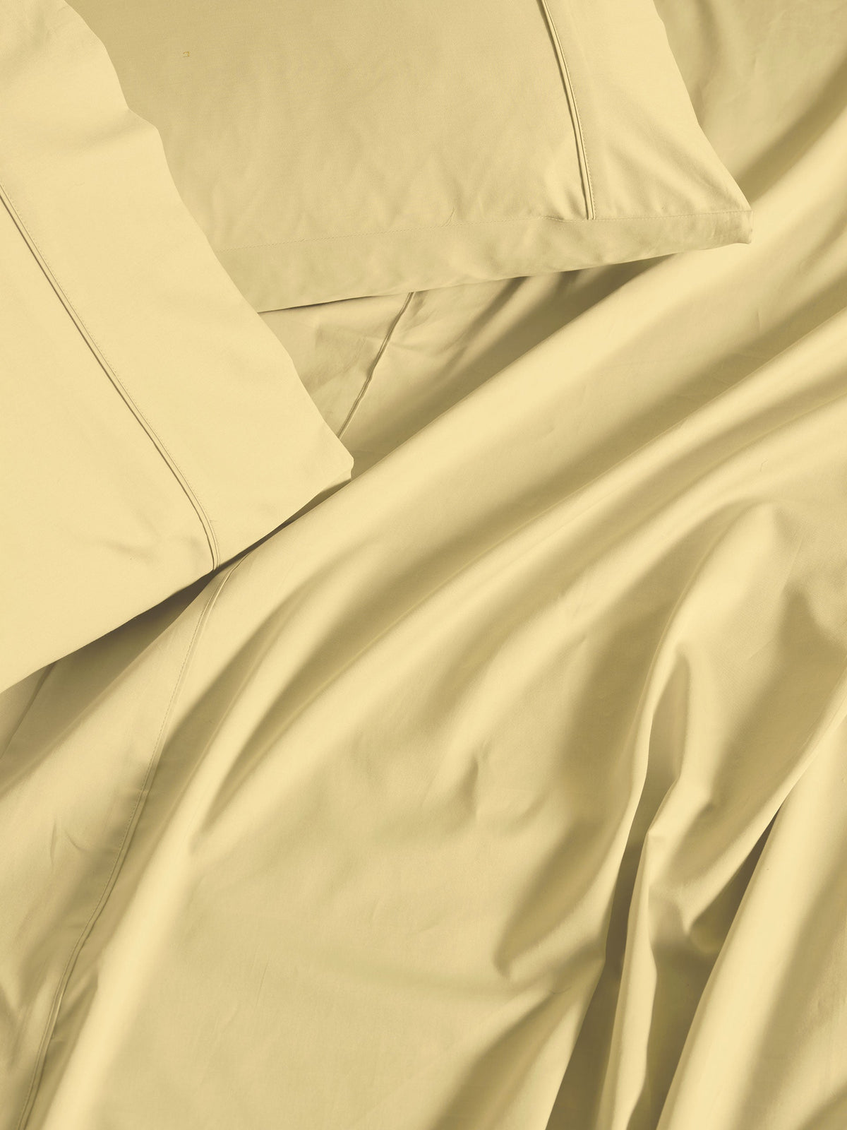 500TC Cotton Sateen Augusta Daffodil Standard Pillowcase