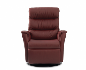 IMG Liberty Leather Recliner Lift Chair